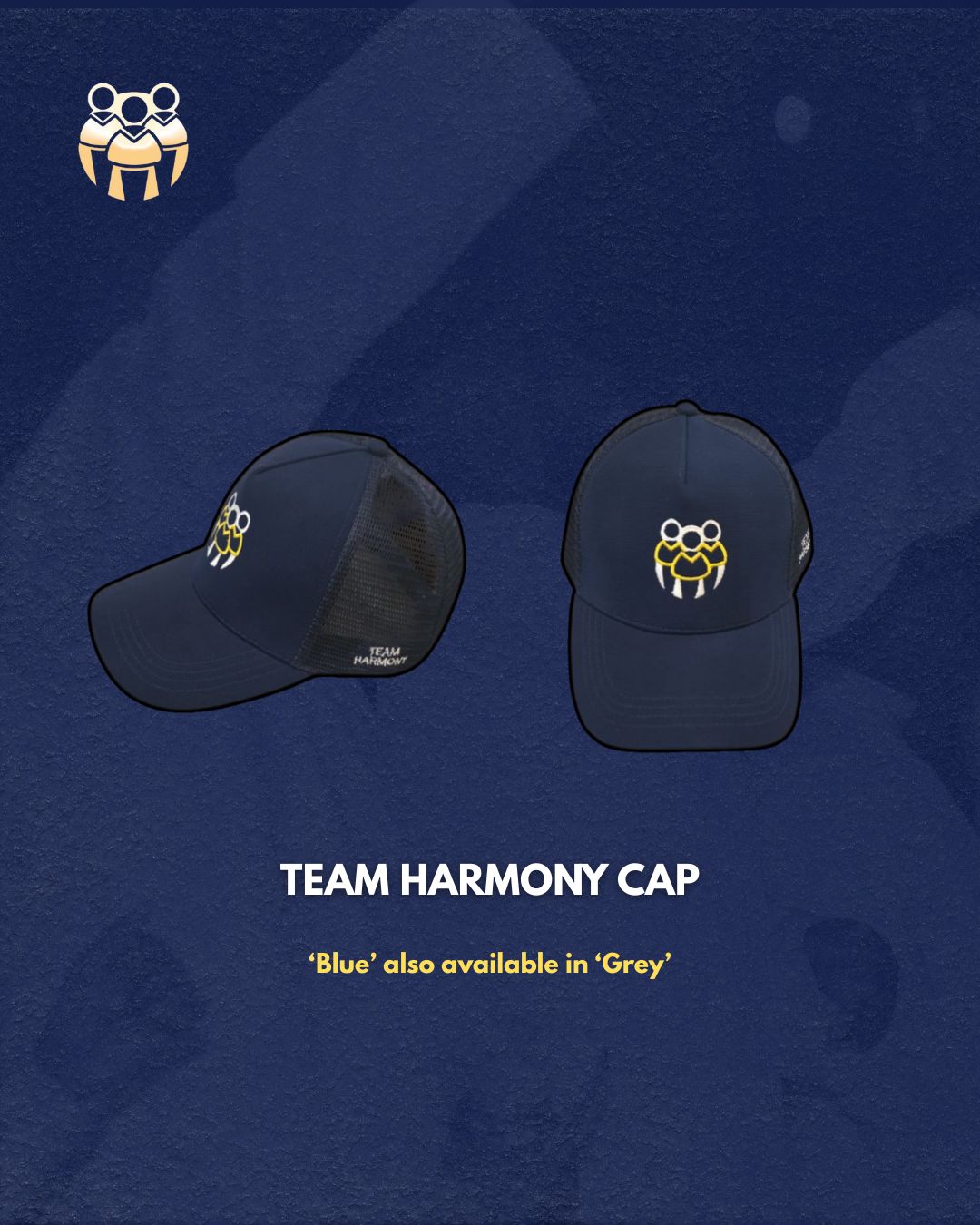 Harmony Hat Navy Blue